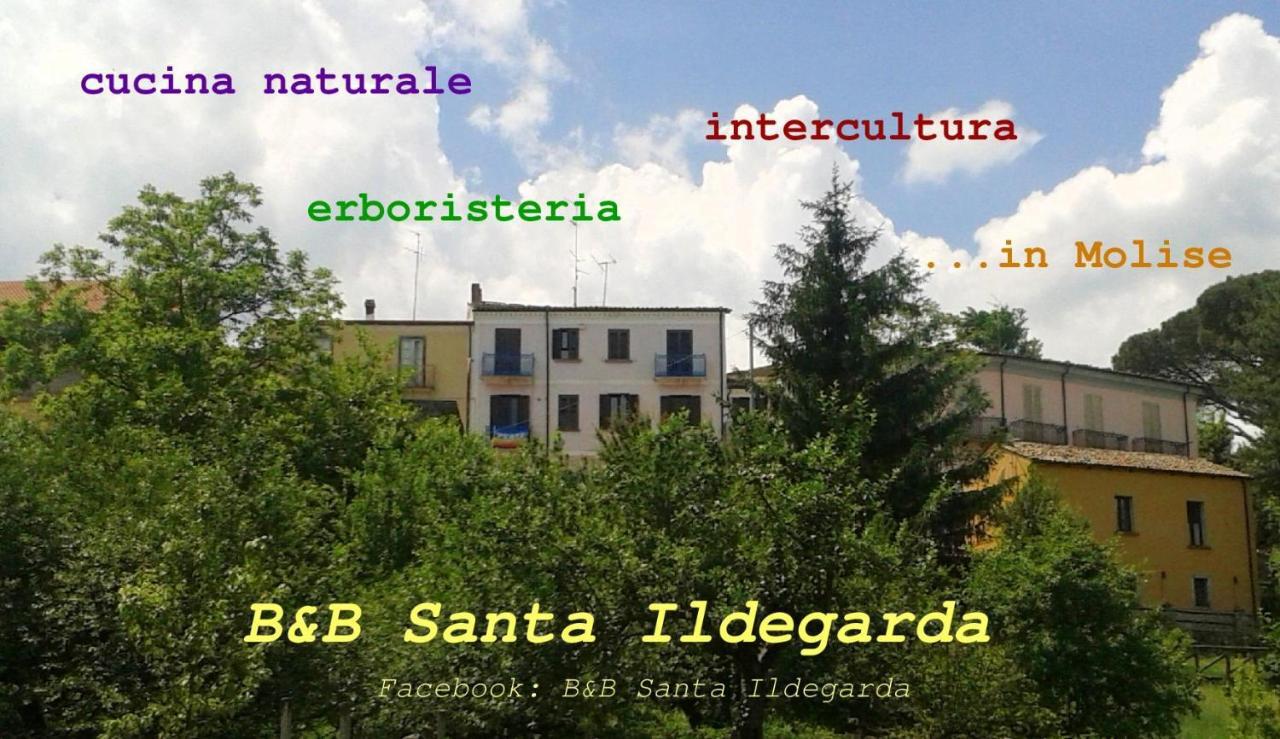B&B Santa Ildegarda Cantalupo nel Sannio Oda fotoğraf